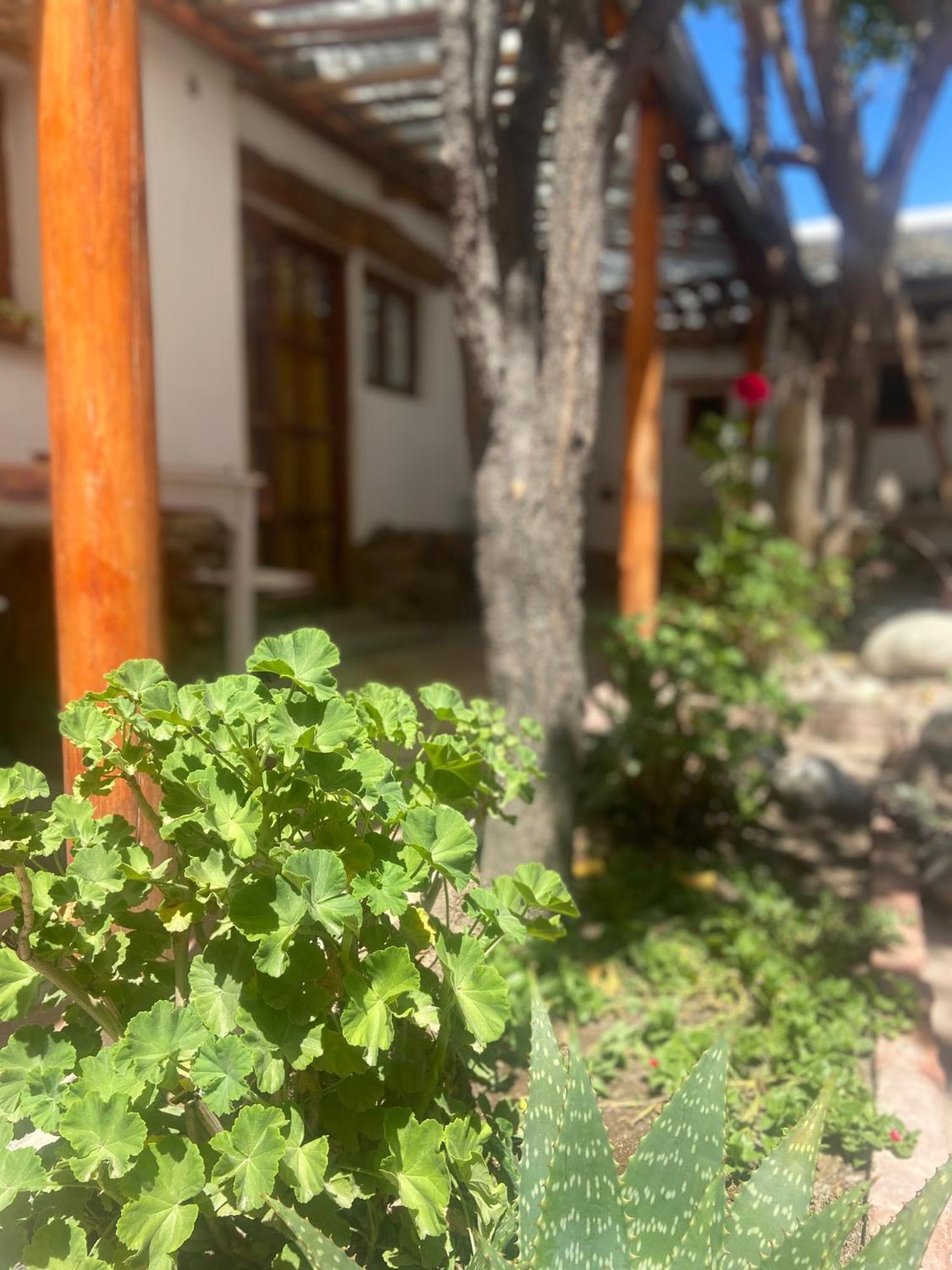 Hostal Tierra Andina Cafayate Exteriér fotografie